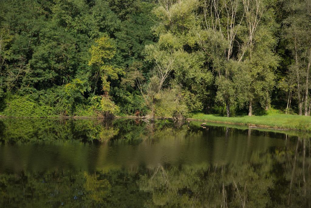 Hotel Del Lago Cavriglia Eksteriør billede